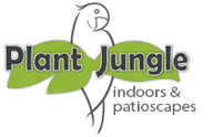 Plant Jungle